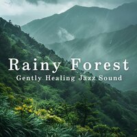 Silent Pathways of Harmony - Relaxing Piano Crew