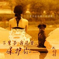 下辈子我还要保护你 - 沈丹丹