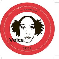 Guerilla Hustlin' - Voice