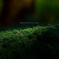 Calm (with Forest Sound) - Meditation Relaxation Club & Spa Treatment & Nature Sounds & Music Library