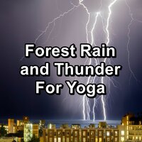 Calm Rain and Thunder with Alpha Waves Noise for Trouble Sleeping - Relax Meditate Sleep & Relax Attack & Relax