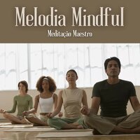 Reflexão de Luz - Meditação Maestro