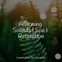 Trickling Water - Relaxing Nature Music & Serenity Spa Music Relaxation & Sleep Recording Sounds