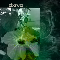F_ck - dxrvo