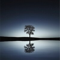 Hojas en El Viento - Masaje Relajante Masters & Sol y Lluvia & Escola de Meditação