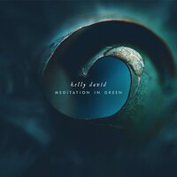 Plain of Reeds - Kelly David