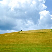 Waves in Flux - Academia de Relaxamento e Meditação & Rainfall & Restless Baby Music