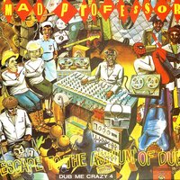 White House Race - Mad Professor