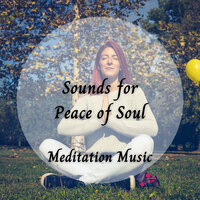 Stress Relief Music - Meditation Music & Binaural Healing & Focusity