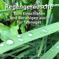 Wenn das Baby nicht schläft - Entspannungsmusik & Regengeräusche & Regengeräusche von Marco Fauss