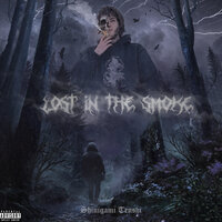 We Lost - Shinigami Tenshi