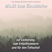 Qigong - Musik zum Einschlafen und Durchschlafen & Schlafmusik & Entspannungsmusik