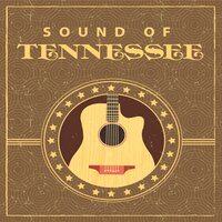 Modern Folk Sounds - Bobby Cole