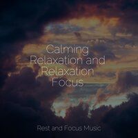 Totally Calming - Ambient Music Therapy & Relaxation Sleep Meditation & Studying Music
