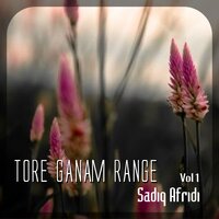 Zama Da Gul Pashan Khybar Charta de - Sadiq Afridi