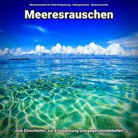 Wellenrauschen - Meeresrauschen für totale Entspannung & Naturgeräusche & Meeresrauschen