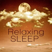Yoga (Nature Songs) - Sleep & Dream Academy