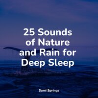 Splish Splash Rains - Sampling XL & Nature's Symphony & Pure Serenity Spa Music & Massage Collective Garden & Zen Relaxation Meditation