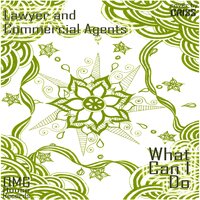 What Can I Do - Lawyer and Commercial agents