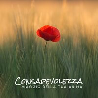 Vivere nella consapevolezza - Bella Zen Rilassante