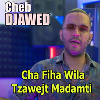Cha Fiha Wila Tzawejt Madamti - Cheb Djawed