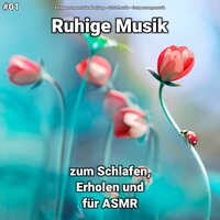 Erfüllende Eindrücke - Entspannungsmusik & Schlafmusik & Entspannungsmusik Abteilung