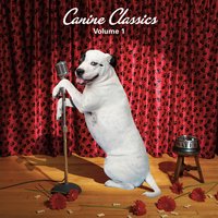 Chewy Toy - Dottie & Tommy Dunbar & Caninica Productions
