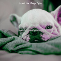 Sophisticated Moods for Training Dogs - Music for Dogs Bgm