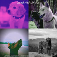 Relaxing Backdrops for Sleeping Dogs - Casual Music for Dogs