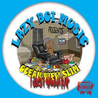 Recap - OceanView Slim