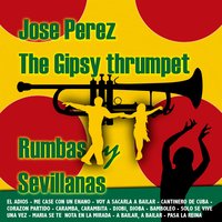Voy a Sacarla a Bailar / Pasa la Reina / Lo Tire al Pozo / Pintor de Loza - Jose Perez