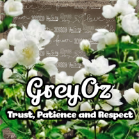 Good Or Bad - GreyOz
