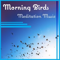 Make a Wish (Singing Bird) - Spiritual Meditation Vibes