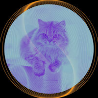 Smart Comfy Cats - Música para gatos