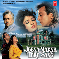 Tumse Hai Kitna Pyar - Anuradha Paudwal & Vipin Sachdeva & Dilip Sen-Sameer Sen
