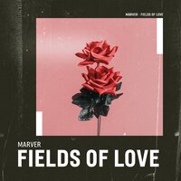 Fields of Love - MarVer