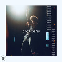 cranberry - Arjun & presth