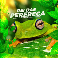 Rei das Perereca - Dj Bruninho PZS & DJ Mano Lost & Mc Grigo 22