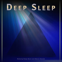 Music For Sleep - Deep Sleep & Deep Sleep Music Solitude & Deep Sleep Music Experience