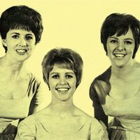 Funny All Over - The Vernons Girls