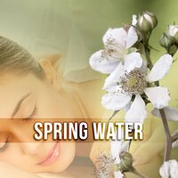 Bali Spa Music - Beautiful Spa Collection