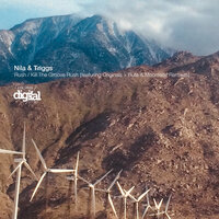 Kill the Groove - Nila & Triggs (NZ)