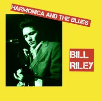 Busters Theme - Bill Riley