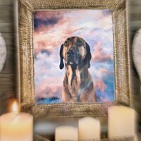 Vier Pfoten - Girrekk & Familie Springer