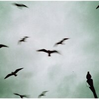 The Calling Impov #1 - Land Of Session & Cihan Kahvecioğlu & Can Omer Uygan