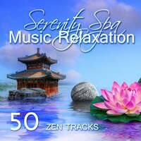 Deshacerse del Estrés - Meditação e Espiritualidade Musica Academia
