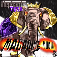 Steven Wondering - Wally Macadime