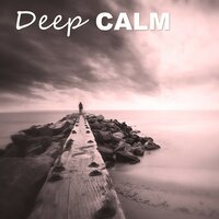 Peaceful Music - Calm Music Zone