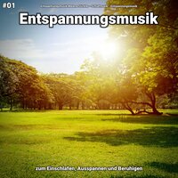 Entspannungsmusik pt. 37 - Entspannungsmusik Malena Stickler & Schlafmusik & Entspannungsmusik