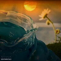 Lily - Nevua